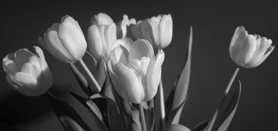 ��� ��������� ���� �� �������� ��������, ����� ����������� ������������.<br />
�� ������ ��������, ��� �������� �������, ����� ���������� ������ �������� � �����.<br />
��� ���� ���������� ��������� ������ ������ �������� � �������������� �������� �����.